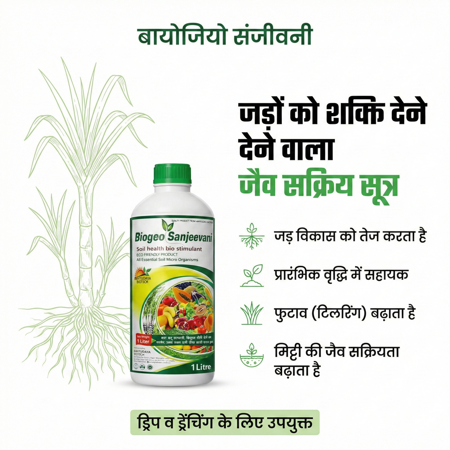 Ganna Super Combo Kit – 100 Ton Ganna per Acre| 3 in 1 Ganna Super Combo Kit